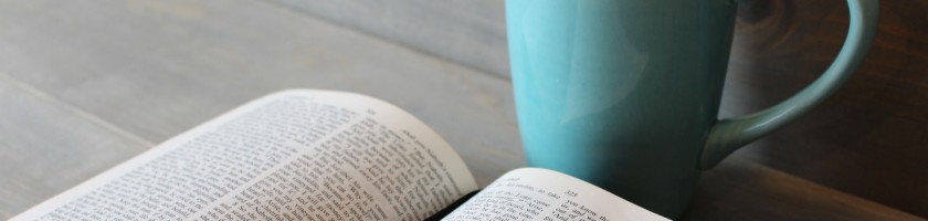 Consulting Bible